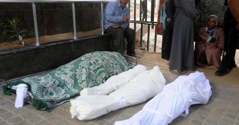 طفل بين الضحايا.. عائلات غزة تودّع أحباءها في الشفاء