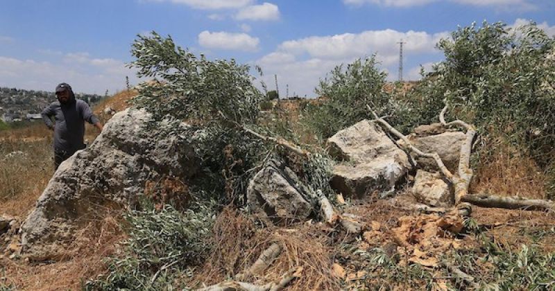 أكثر من 18 إصابة واعتقال 7 فلسطينيين في اعتداءات بالضفة الغربية