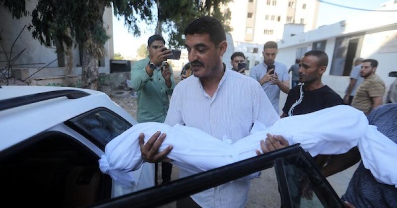 طفل بين الراحلين.. وداع جديد في مستشفى الشفاء