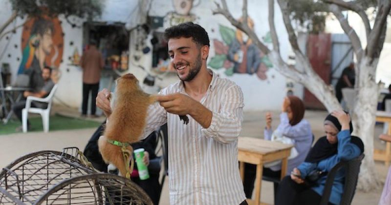 فسحة للأطفال وسط آثار الحرب.. حيوانات غزة تواجه الجوع ونقص الرعاية