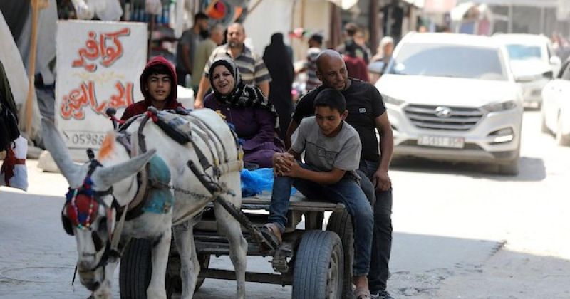 حياة بين الركام.. نازحو غزة يبحثون عن يوم عادي