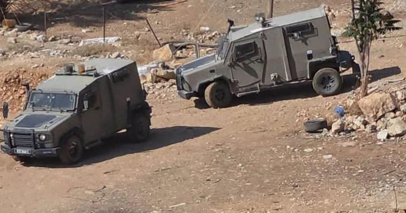 313 مستوطنًا يقتحمون الأقصى ويصلون إليه بصفة «سياح».. إخطارات هدم واعتقالات وإبعاد في القدس