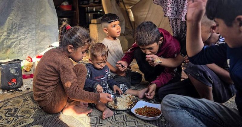الجوع يعود ليهدد غزة رغم توفر الغذاء.. نقص التمويل يحرم نصف مليون فلسطيني من المساعدات وأطفال يواجهون الشتاء بلا طعام أو مأوى آمن