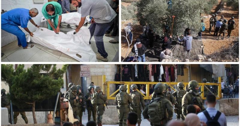 شهداء في غزة وتصعيد واسع بالضفة.. اعتقالات واعتداءات للمستوطنين واقتلاع مئات أشجار الزيتون