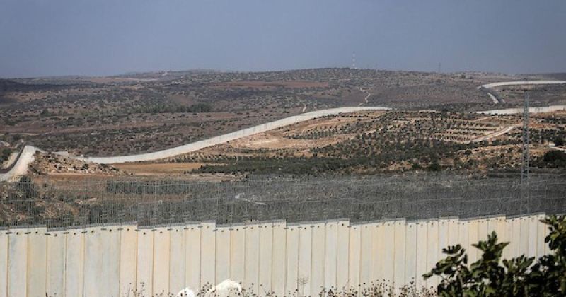 قرب جدار الفصل.. مزارعون فلسطينيون يتمسكون بأرضهم خلال موسم قطف الزيتون غرب الخليل