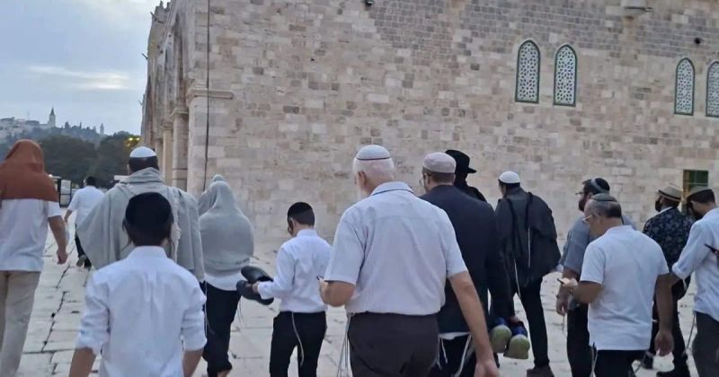 316 مستوطنًا يقتحمون الأقصى وهدم منزلين بالقدس.. اعتقالات واعتداءات تطال المزارعين والتجمعات البدوية