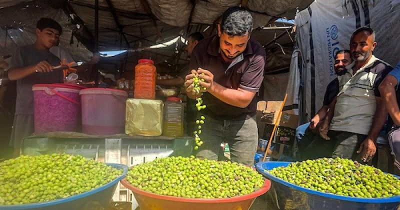 يعرض الفلسطينيون الزيتون في عدد محدود من الأكشاك المتفرقة غرب خان يونس