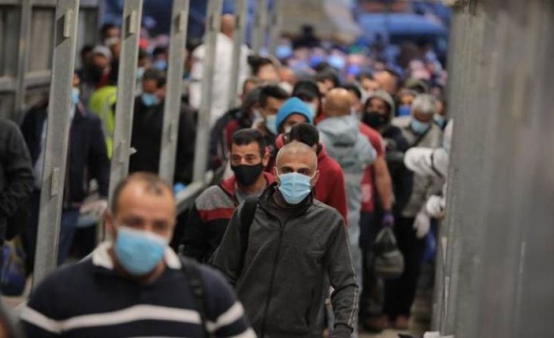 عمال الموانئ ينفذون إضرابات وفعاليات تضامنية مع غزة في 17 دولة