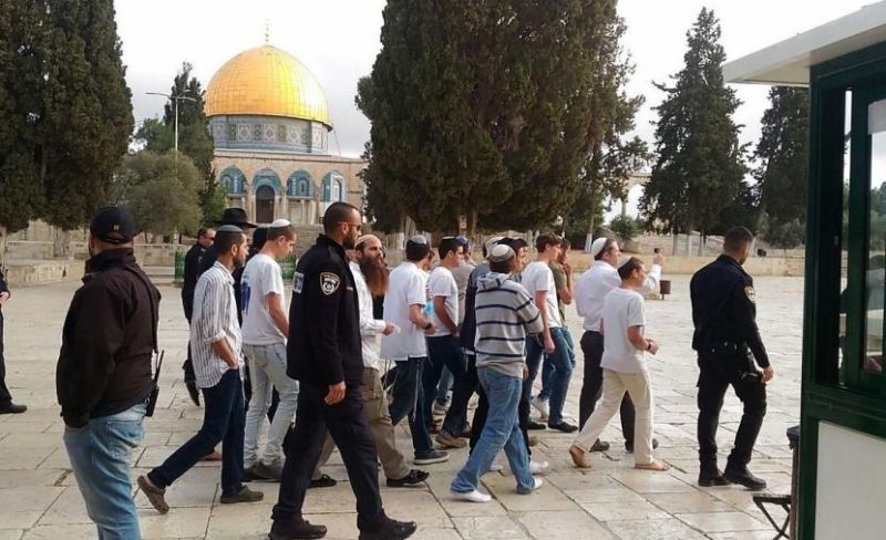 1059 مستوطنًا اقتحموا المسجد الأقصى خلال أسبوع