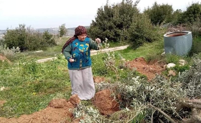 قرار عسكري جديد بالاستيلاء على 2,224 دونماً من أراضي سلفيت