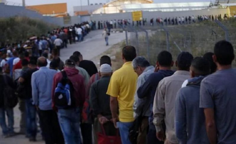 نقابة الموظفين: عمالنا وموظفونا يسطرون صمودًا أسطوريًا في وجه حرب الإبادة والتجويع