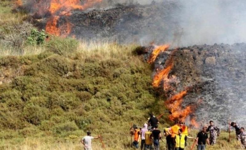 مستوطنون يحرقون أراضي زراعية في قرية جالود جنوب نابلس