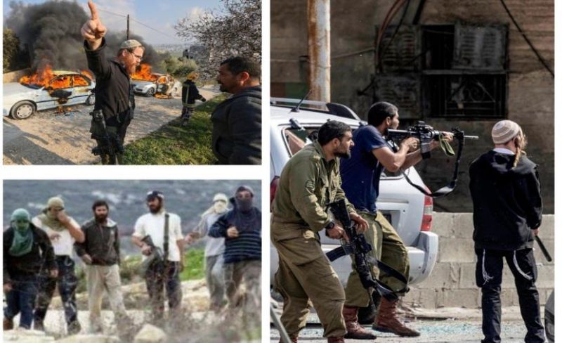مستوطنون يهاجمون مواطنين ومنازل جنوب نابلس وينصبون خياماً في جالود