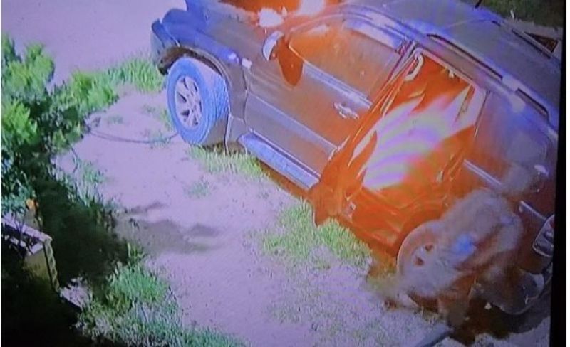 مستوطنون يحرقون مركبتين في يطا جنوب الخليل
