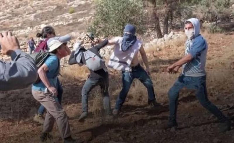 مطاردة مزارعين واعتداءات بالحجارة.. المستوطنون يشنون هجمات جديدة بالضفة