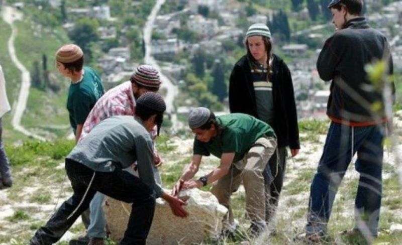 إصابة مواطن ونجله بهجوم مستوطنين بالأغوار وسط تصاعد اعتداءاتهم بالضفة