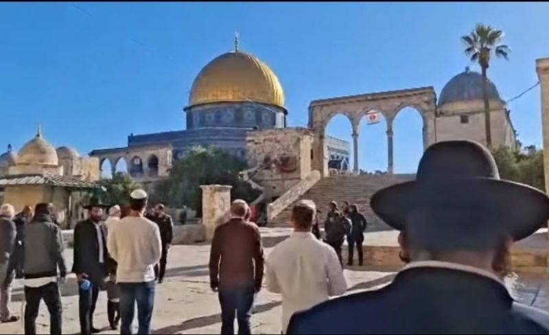 508 مستوطنين يقتحمون الأقصى ويؤدون صلوات تلمودية