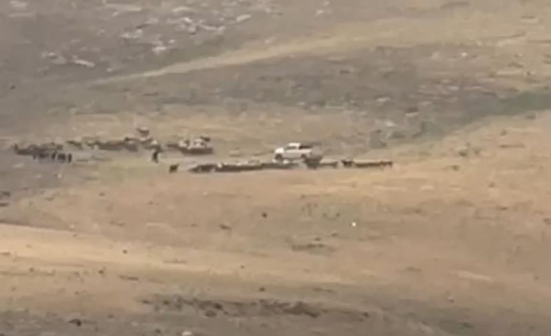 مستوطنون يُلاحقون رعاة الأغنام شرق القدس