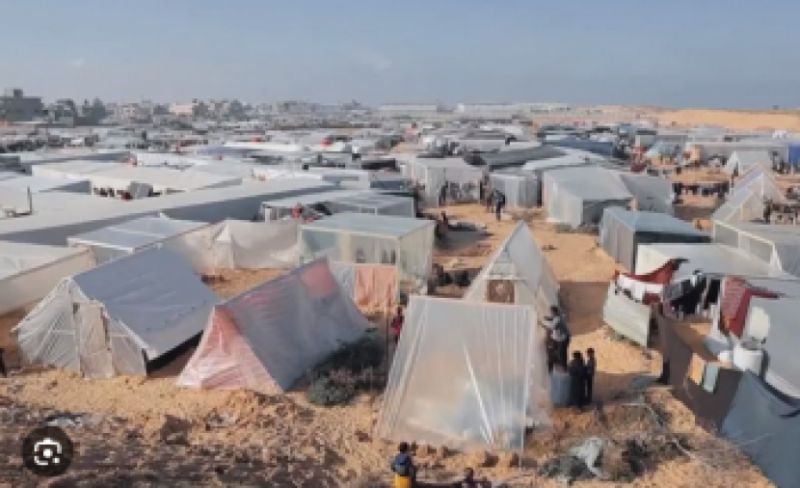 تقرير حقوقي بعنوان "غزة تحت حصار الأوبئة.. كارثة القوارض وتداعياتها الإنسانية"