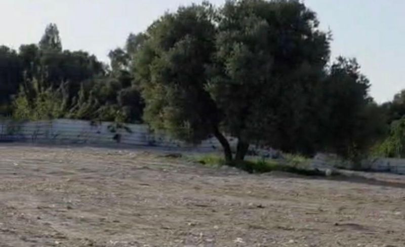 هكذا استغلت "أحزاكوت" الإسرائيلية الحرب لدفن 5 دونمات من قبور "القسام" بحيفا بأنقاض البناء