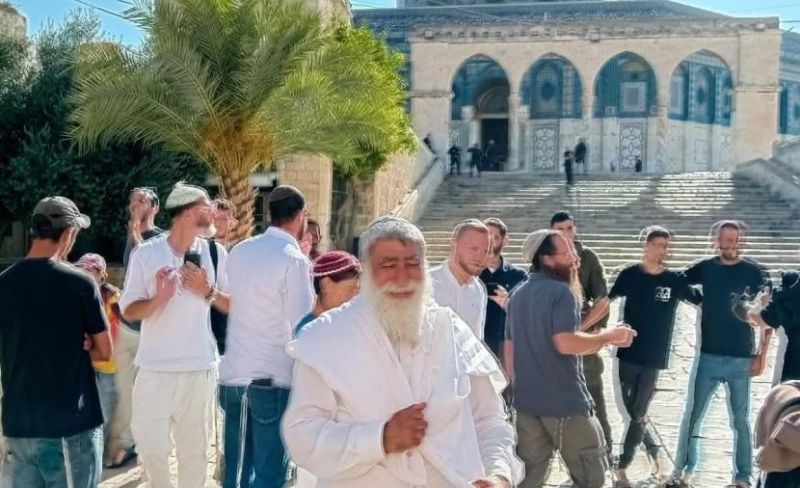 242 مستوطنًا يقتحمون باحات الأقصى