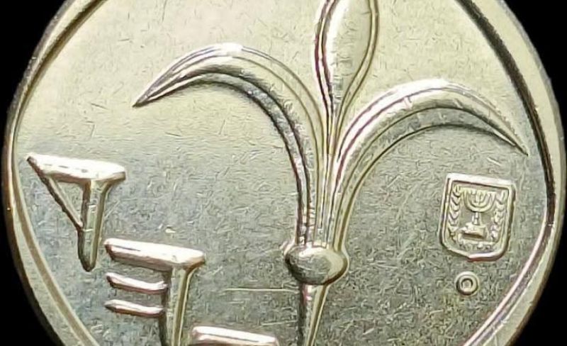 "يديعوت": أمام بنك إسرائيل 3 خيارات لوقف انحدار صرف الدولار