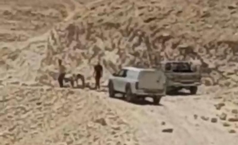 مستوطنون يُنفذون أعمال عربدة واستفزاز في بيت لحم
