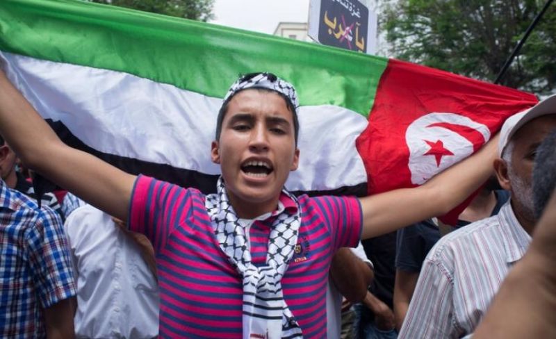 "لا نكبة بعد الطوفان".. تونسيون يحيون ذكرى النكبة