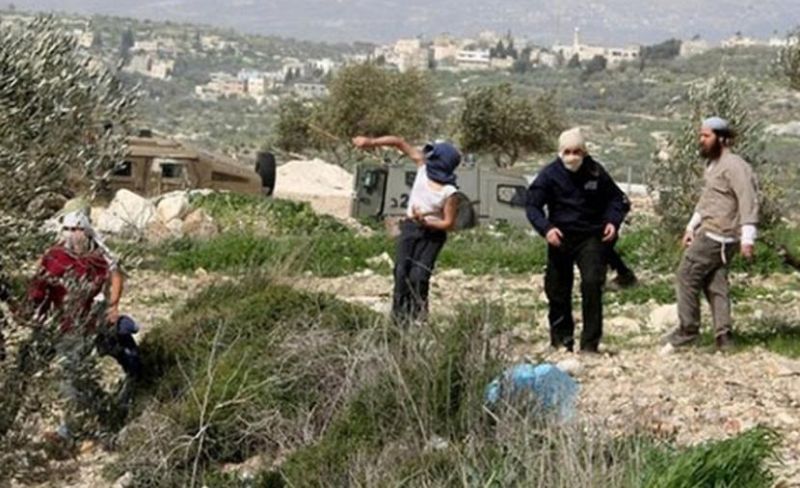 مستوطنون يستولون على منزل في ترمسعيا شمال رام الله