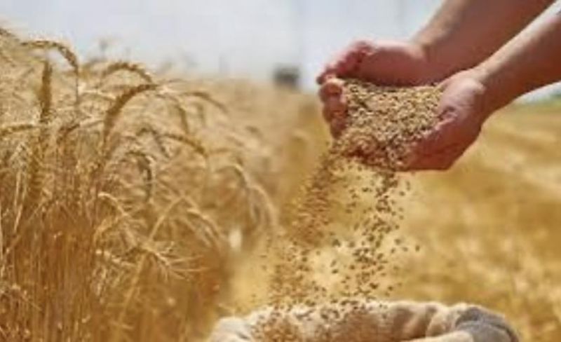 "فاو" تحذر من النقص في الغذاء بسبب الحرب على إيران