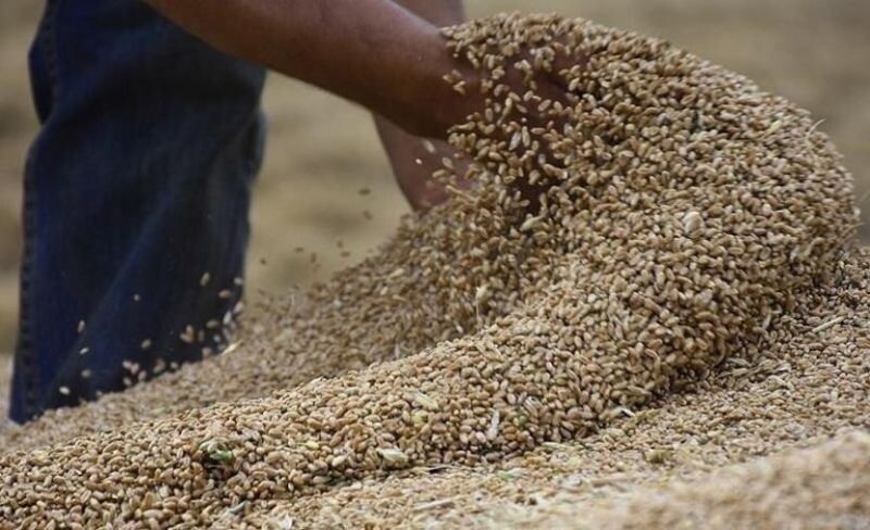 "الفاو" تحذر من النقص الفوري بالغذاء بسبب الحرب على إيران