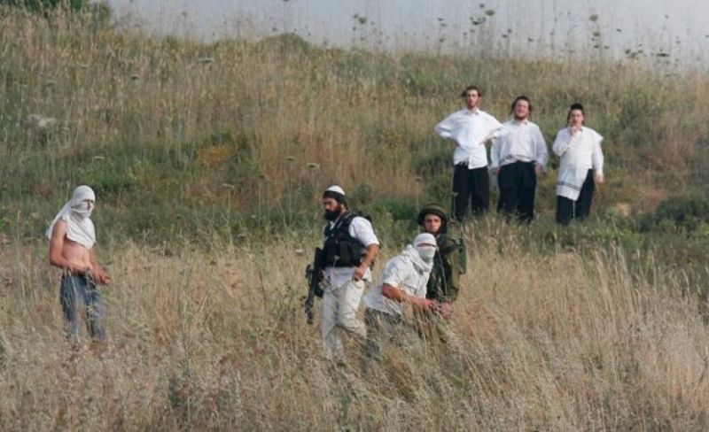 اعتقال 3 مواطنين خلال هجوم للمستوطنين جنوب الخليل