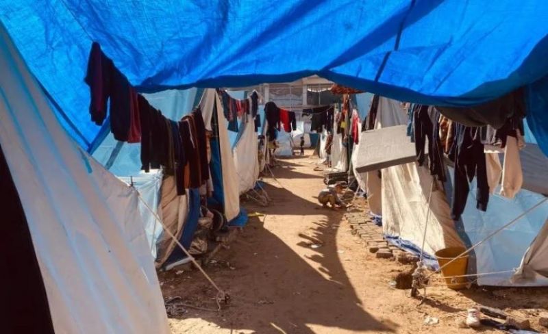 الحشرات.. سلاح مباغت لخيام غزة مع صيف مبكر وترقب مرير لحرّ أغسطس