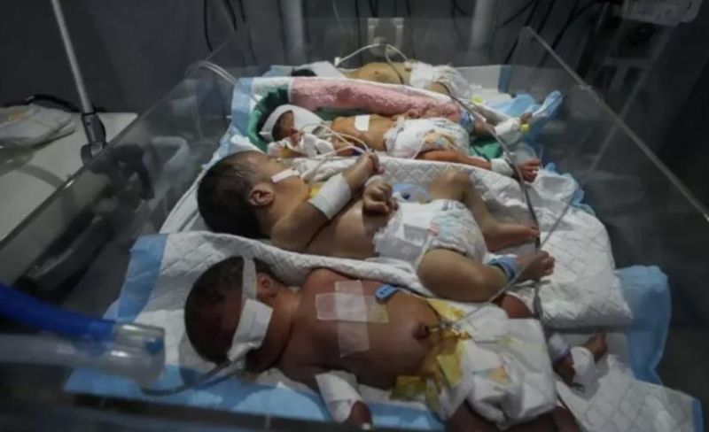 مركز: تراجع المواليد وارتفاع الإجهاض في غزة دليل على "عنف إنجابي" يرقى للإبادة الجماعية