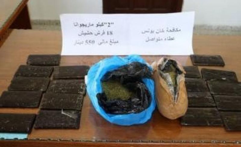 "مكافحة المخدرات" في رفح تضبط 24 شتلة بانجو