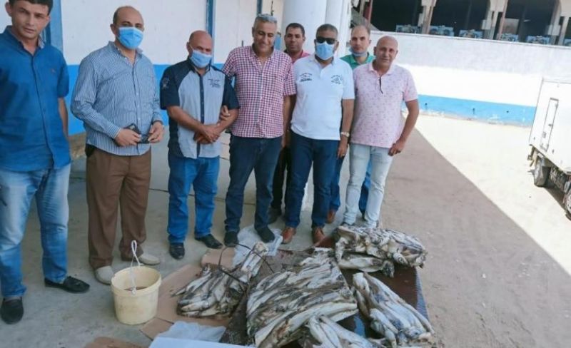 مباحث التموين بخانيونس تتلف 162 كجم سمك فاسد