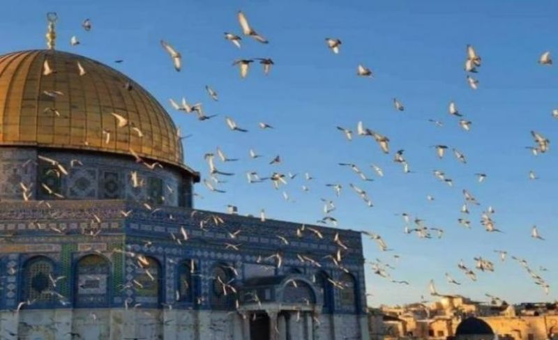 الأرصاد الجوية تكشف تفاصيل حالة الطقس في فلسطين اليوم