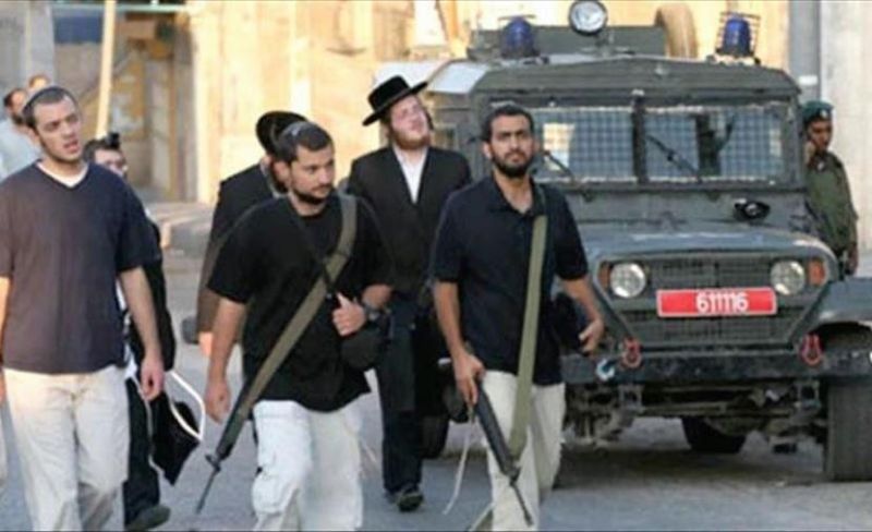 مستوطنون يهاجمون مركبات بالحجارة شرق قلقيلية