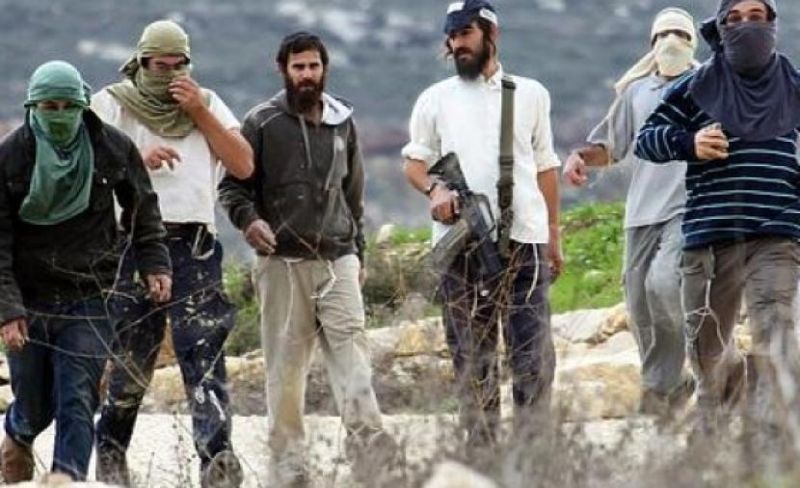 مستوطنون يدمرون خط مياه رئيسي في الرأس الأحمر بطوباس