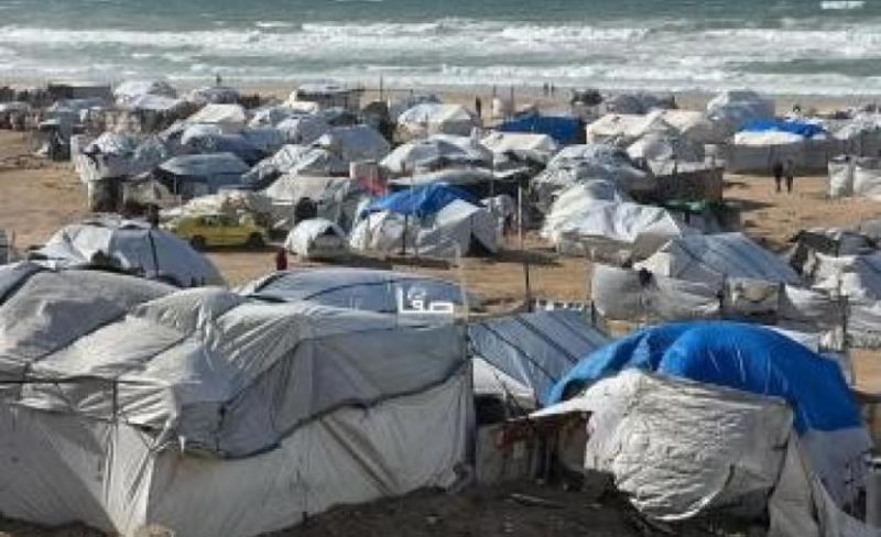 التنمية بغزة: 80% من العائلات بالقطاع فقّدت منازلها ونحن أمام عودة حقيقية للمجاعة