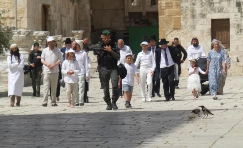 "منظمات الهيكل" تحشد لأكبر اقتحام للأقصى غدًا وسط شعارات تهويدية على جدرانه