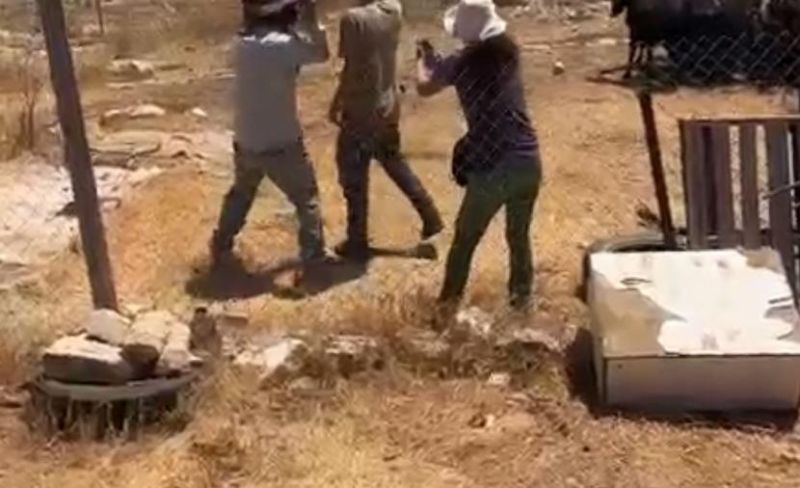 مستوطنون يعتدون على الأهالي في تجمع "نايف الكعابنة" شرقي رام الله
