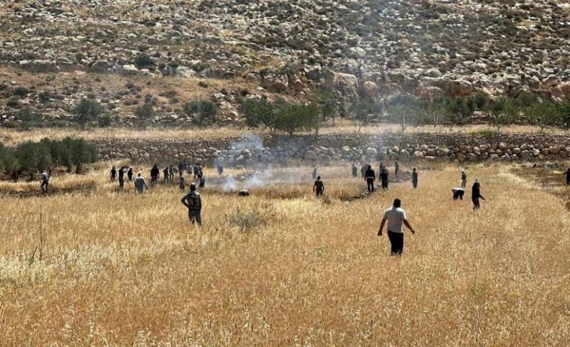 مستوطنون يحرقون أراضي زراعية في جلجليا شمال رام الله