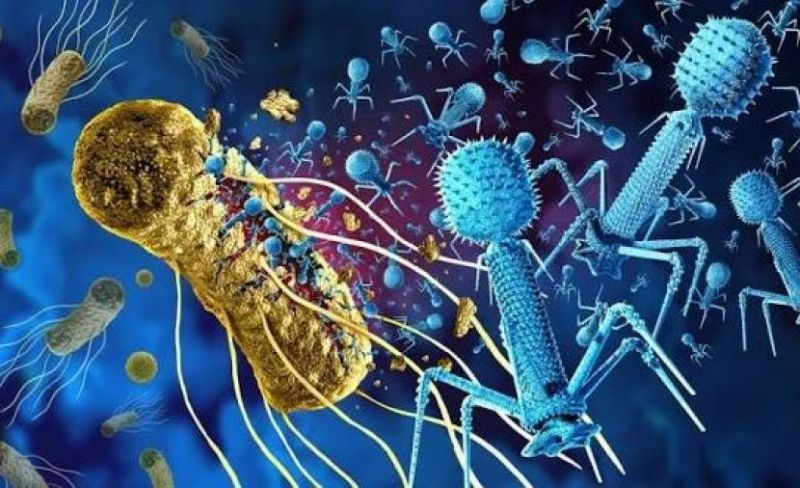 الذكاء الاصطناعي يخلق فيروسات جديدة... وخبراء أمنيون يكشفون عن المخاطر المحتملة