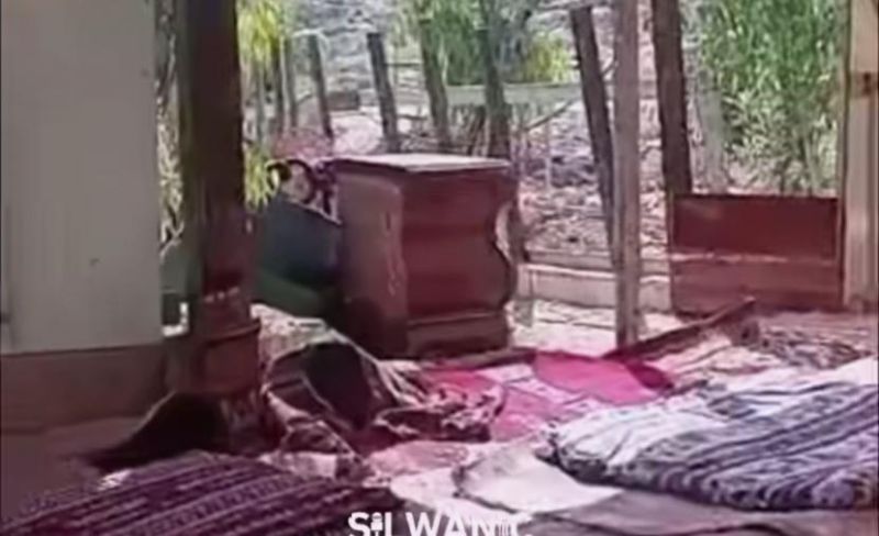 الاحتلال يُجبر مقدسيًا على هدم بركس للأغنام في بيت حنينا