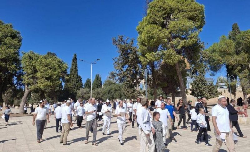 تركيا تُدين اقتحامات الأقصى وتُحذر من تأجيج التوتر بالمنطقة
