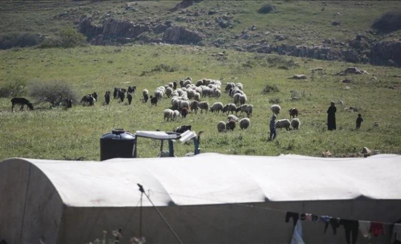 بحماية الاحتلال.. مستوطنون يهاجمون تجمعًا بدويًا جنوب نابلس