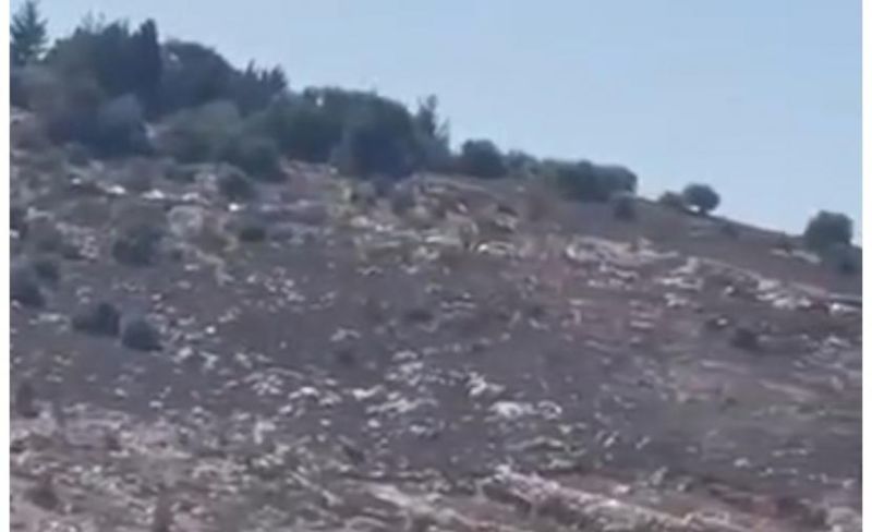 أعداد كبيرة من المستوطنين تقتحم جبل العاصور شرق رام الله
