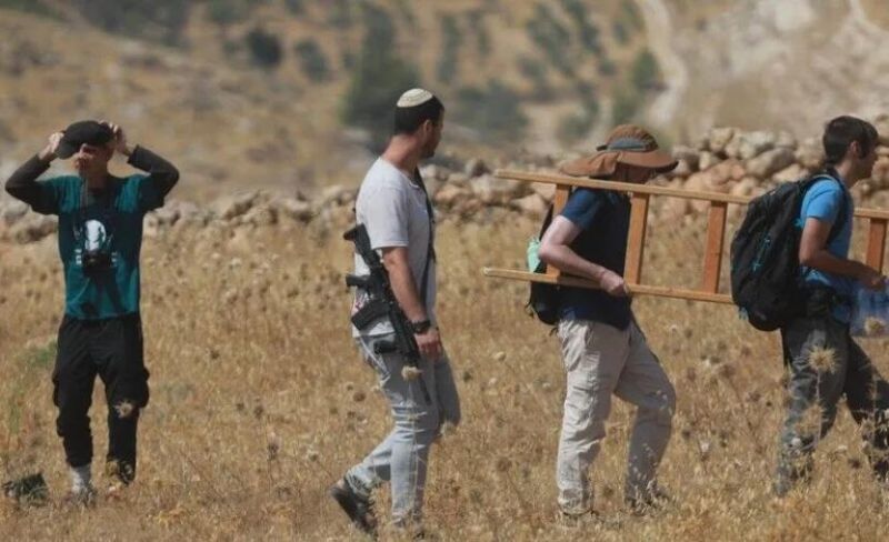 اعتداءات للمستوطنين بالضفة والقدس.. صلوات تلمودية واستهداف للأشجار وحرق منازل وتدمير شبكات