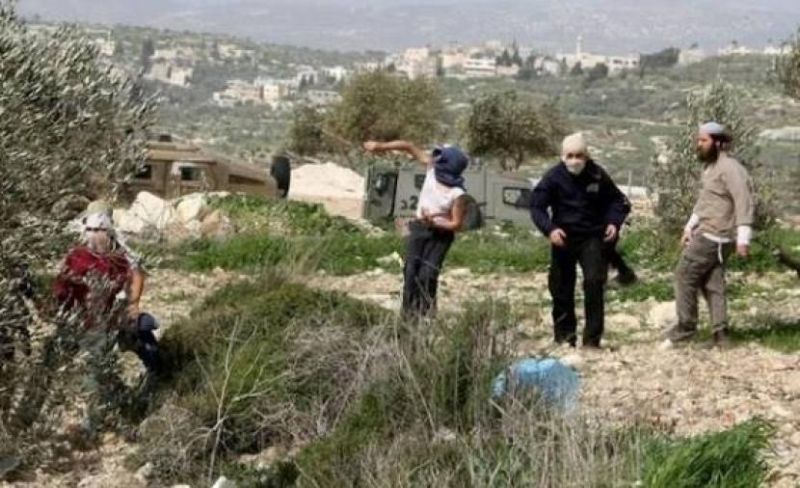 مستوطنون يعتدون على 4 مواطنين في عقربا جنوب نابلس